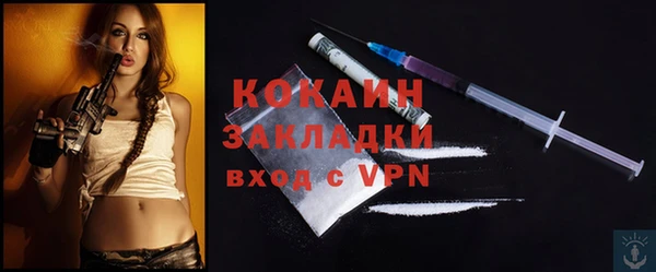 МДПВ Алзамай