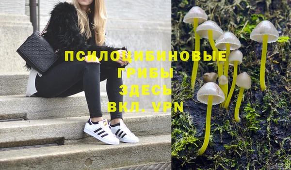 МДПВ Алзамай