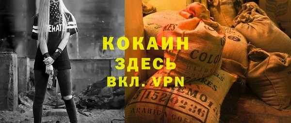 МДПВ Алзамай